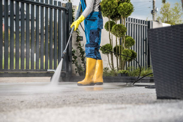 Best Roof Washing  in Hardeeville, SC